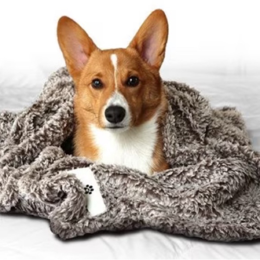 Pet blanket